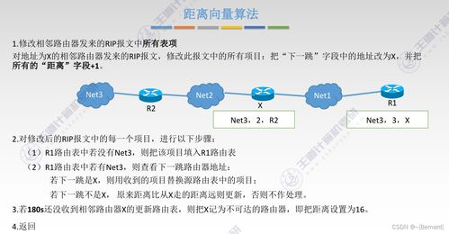 王道考研计算机网络第四章知识点汇总 网络层与核心技术开发